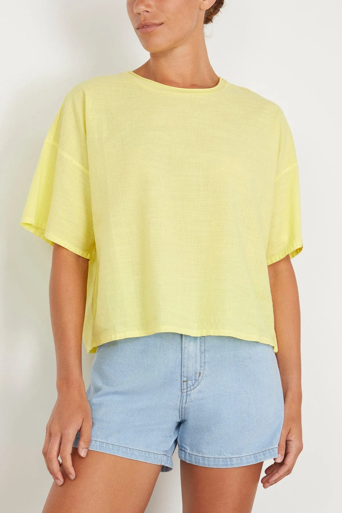Maglia Frida Felce in Jasmine